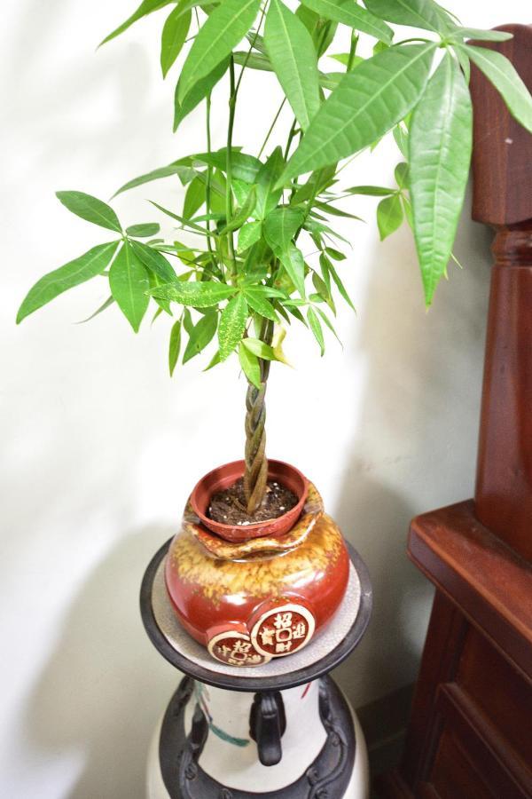 Fengru B&B Taitung ภายนอก รูปภาพ